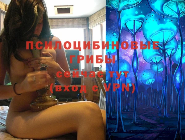 СК Саяногорск